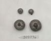 Click for 1 image(s) for this accession. FRUIT